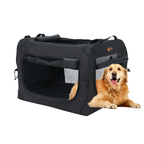 EXXO collapsible pet carrier with mesh windows and dog beside carrier