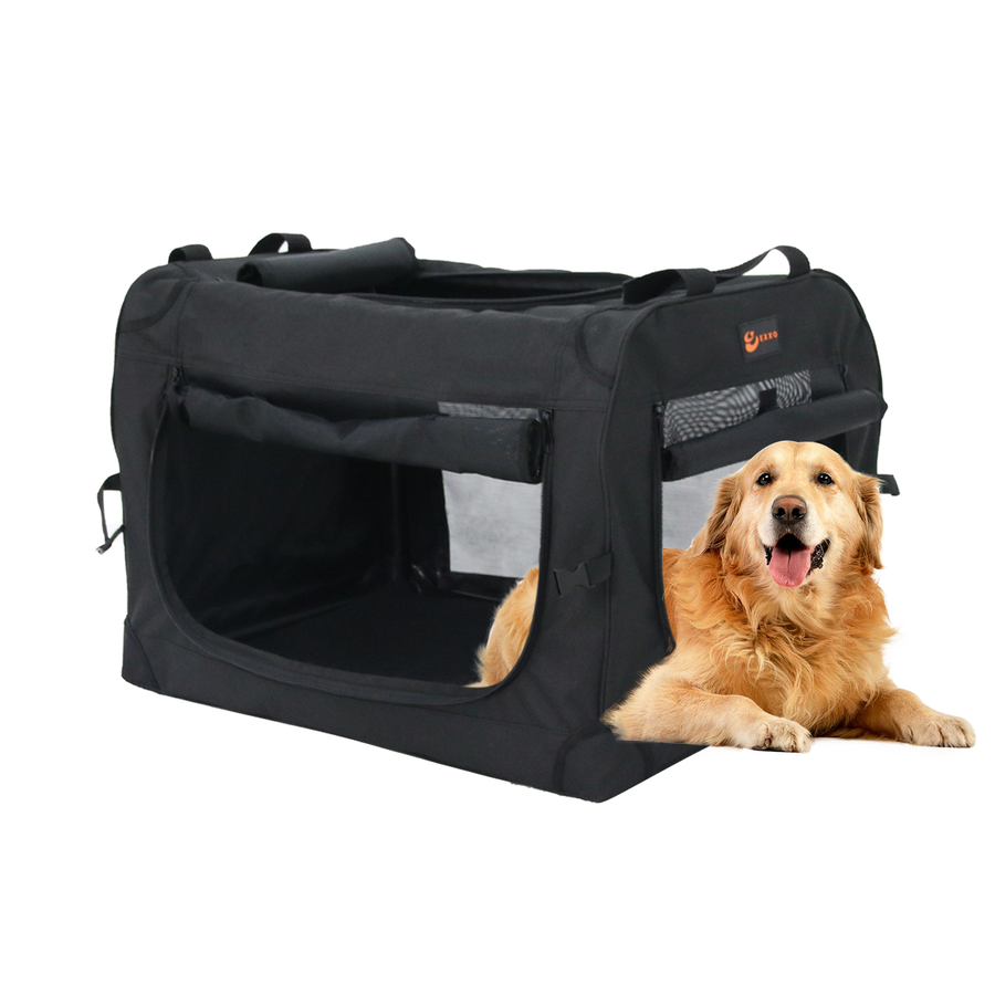 EXXO collapsible pet carrier with mesh windows and dog beside carrier