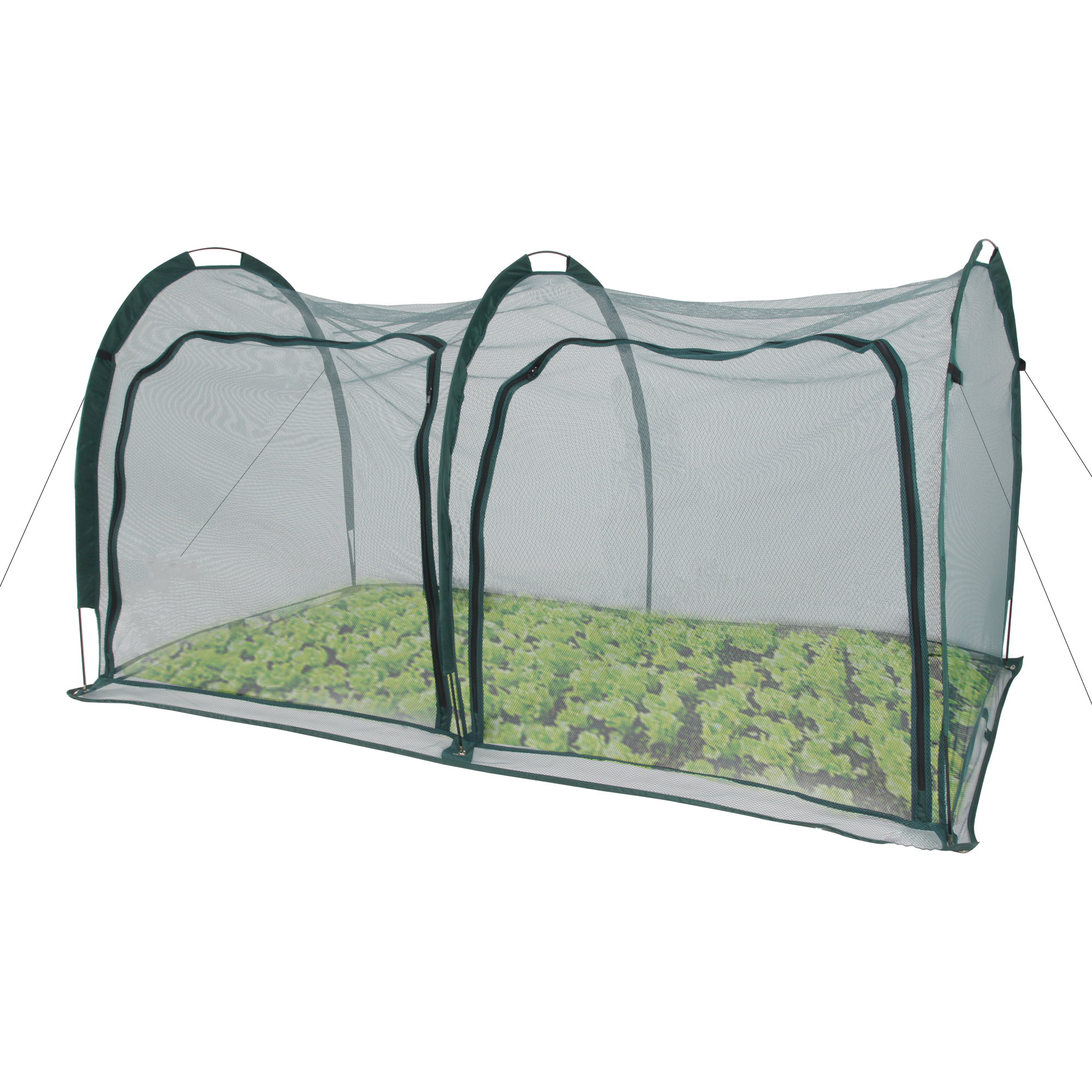 Side view of EXXO 2m flexible gardening tunnel set up over a garden bed