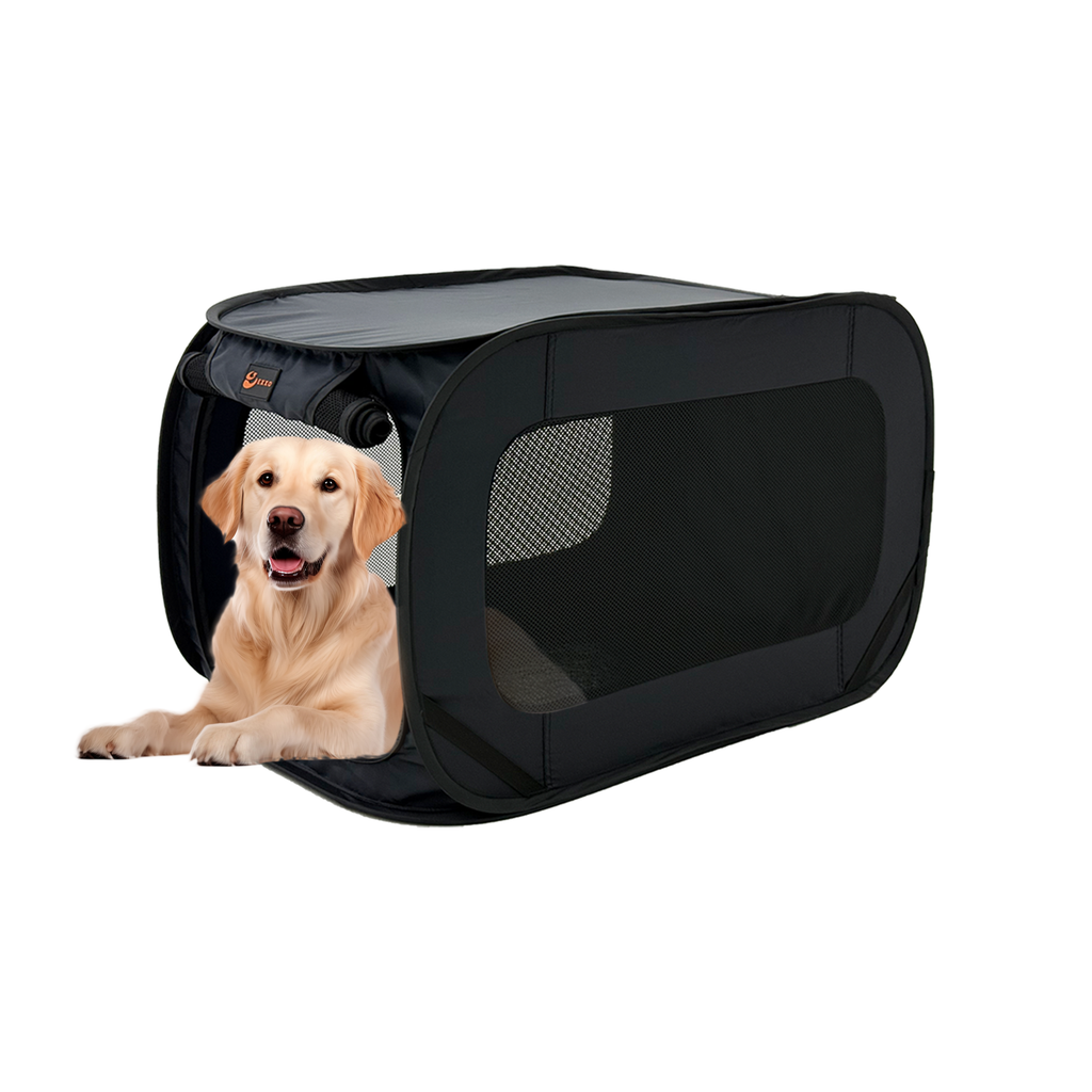 EXXO foldable pet crate with mesh sides, black, shown with dog