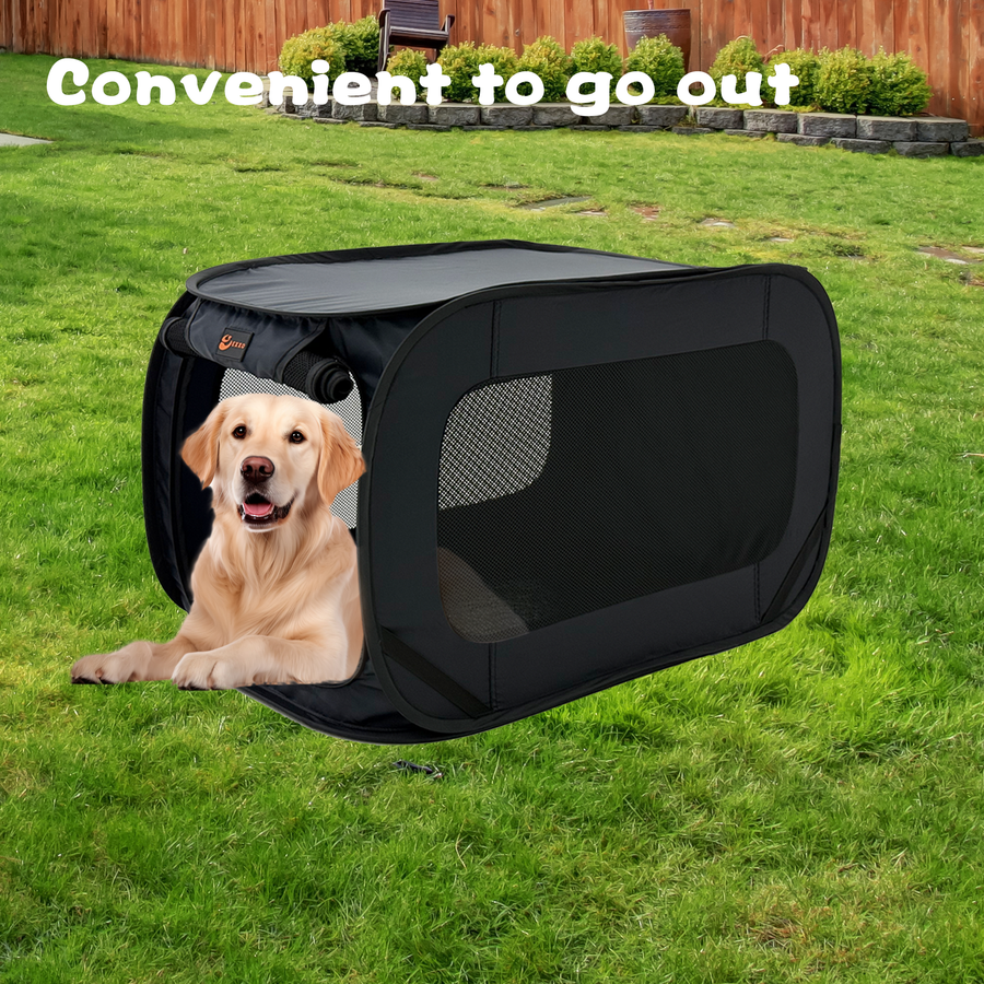 EXXO Foldable Pet Carrier