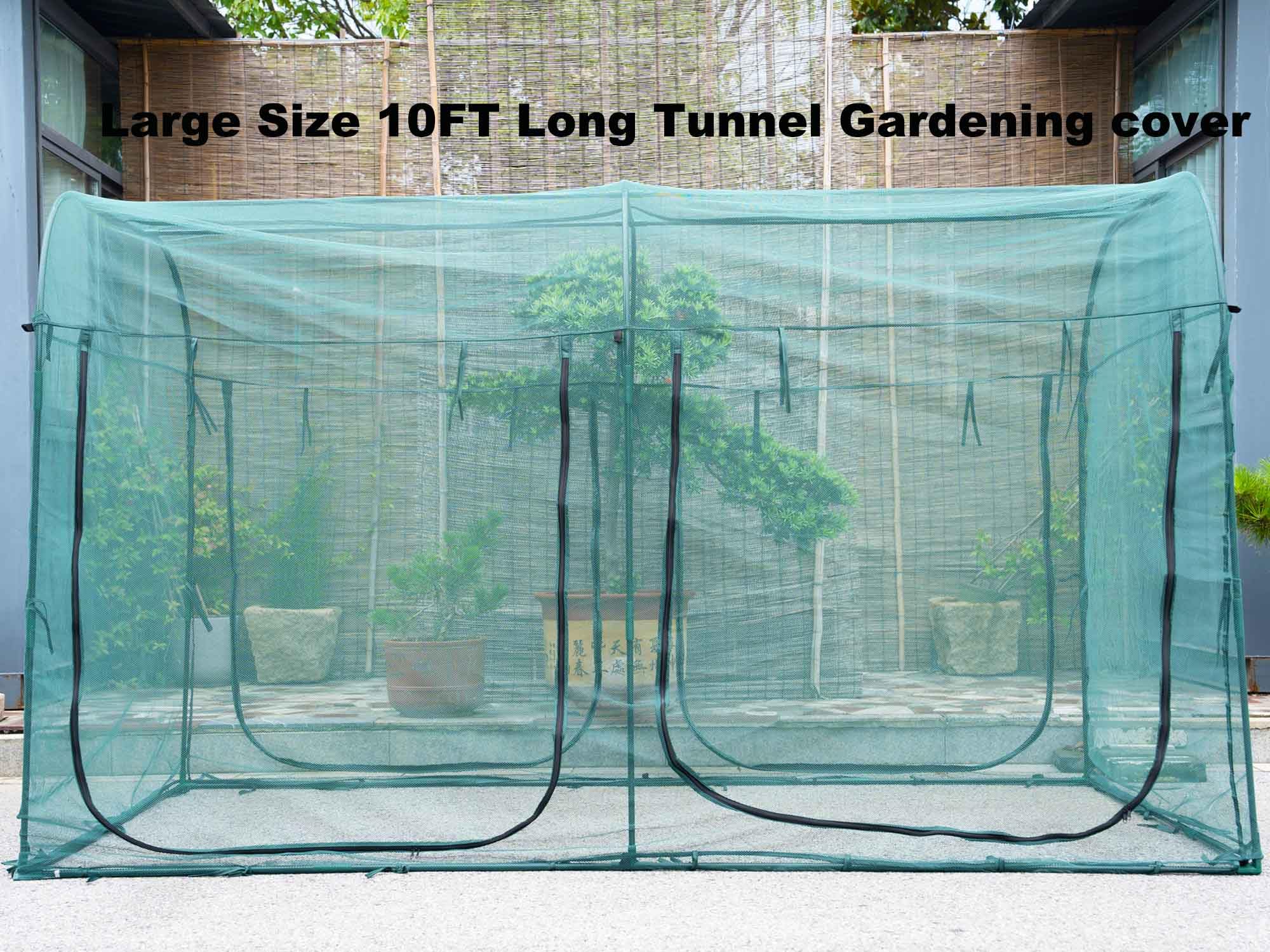 Front view of EXXO 10×6×6 ft greenhouse showing long tunnel layout