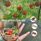 Plant protection net blocking birds and pests while crops grow