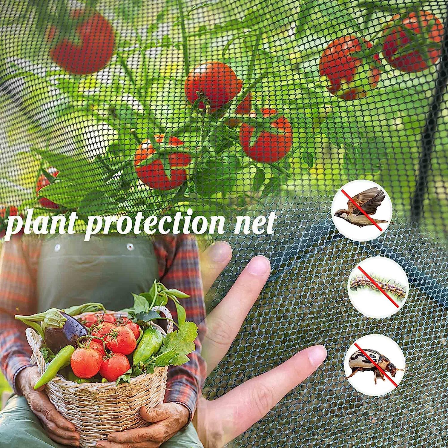 Plant protection net blocking birds and pests while crops grow