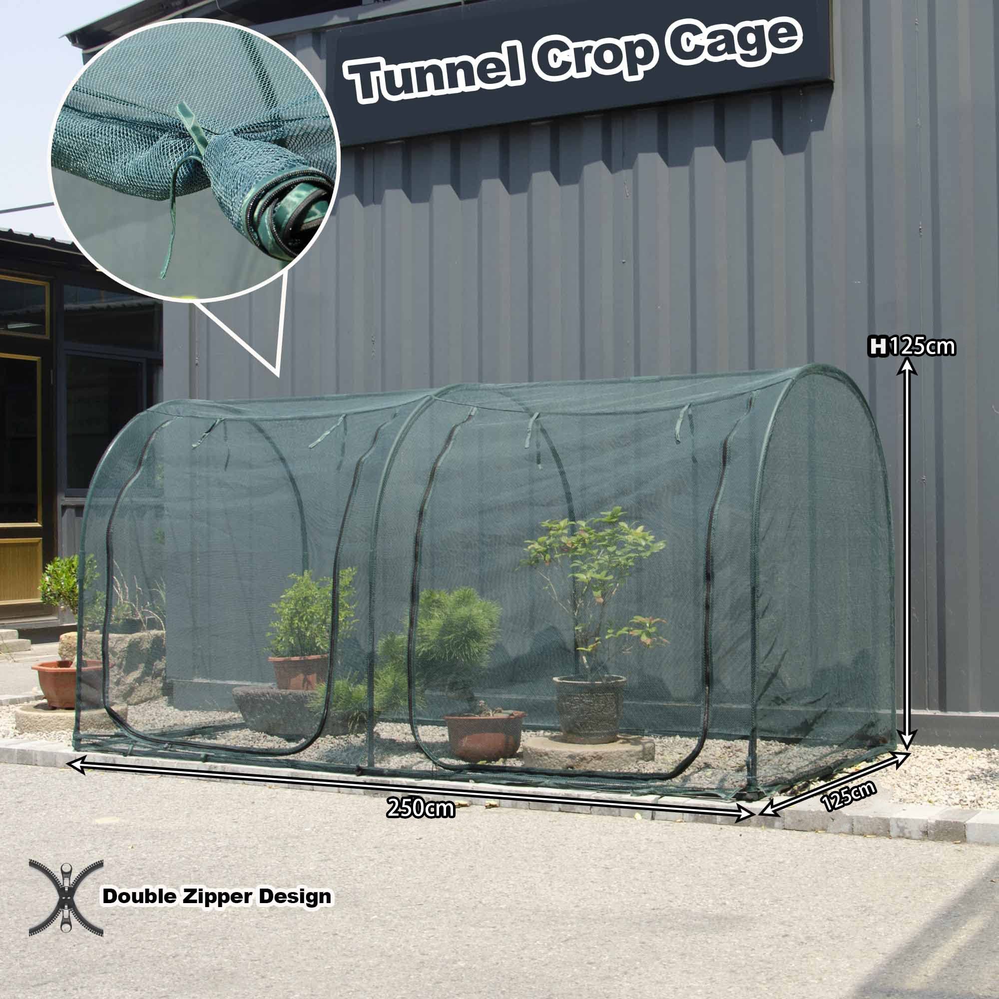 EXXO 8x4x4ft greenhouse set up outdoors for protecting garden plants