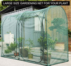 EXXO 8x4x6 ft greenhouse installed outdoors protecting potted plants
