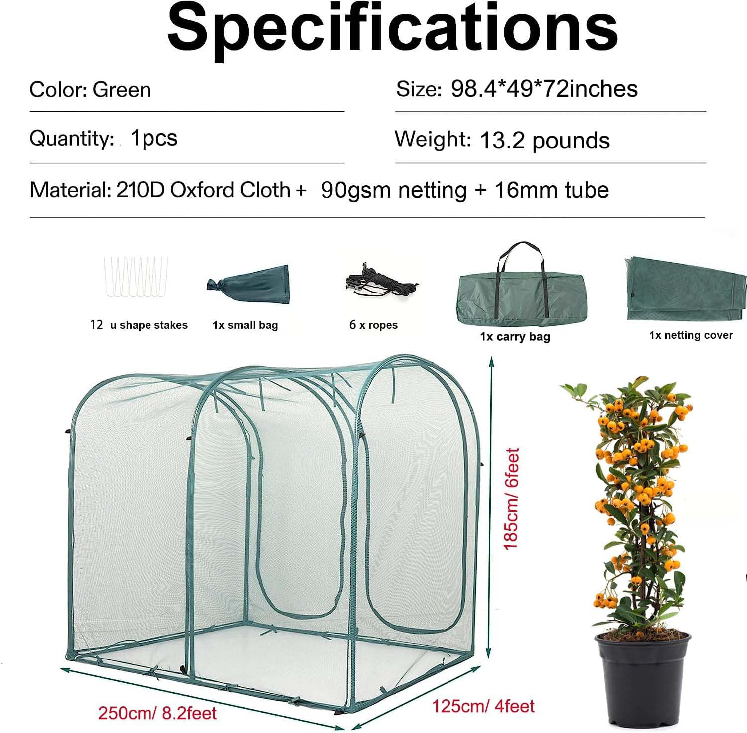 EXXO 8x4x6 ft greenhouse specifications showing dimensions and layout