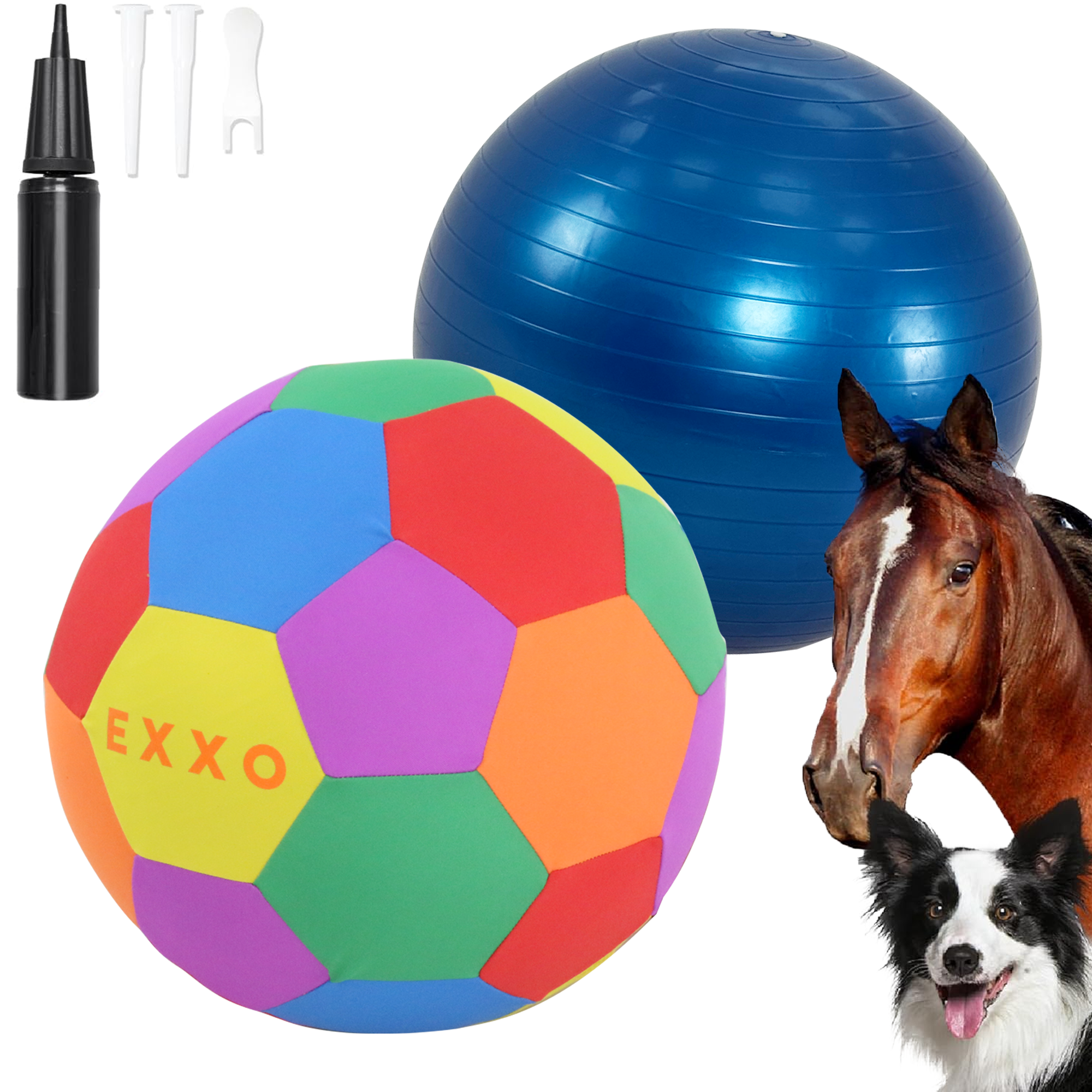Dog and horse with EXXO Mega Ball for outdoor play