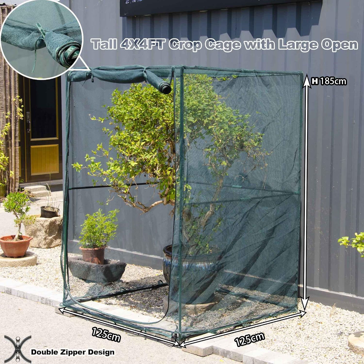 EXXO plant screen 4 x 4 x 6 ft showing size and ground footprint